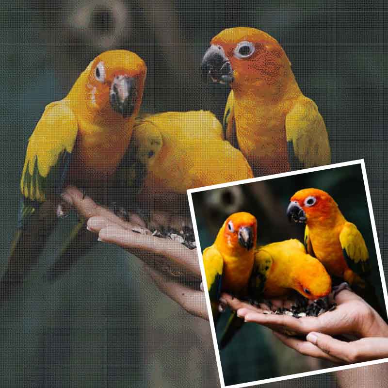 Dlaczego Diamentowe Malowanie Nowym Boże Narodzenie Świątecznym szał Roku