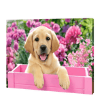 Załaduj obraz do przeglądarki galerii, Pies w różowym pudełku  | Haft Diamentowy
