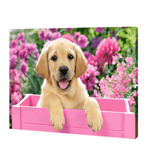 Pies w różowym pudełku  | Haft Diamentowy