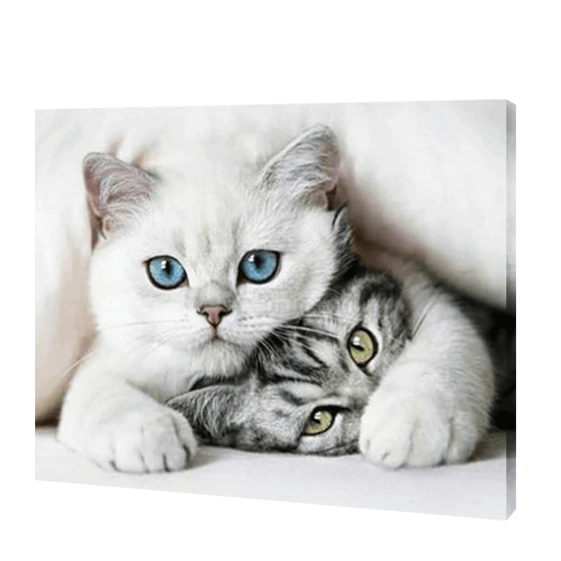 Przyjazne koty | Haft Diamentowy