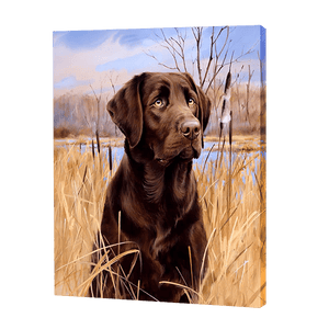 Labrador na polu | Haft Diamentowy