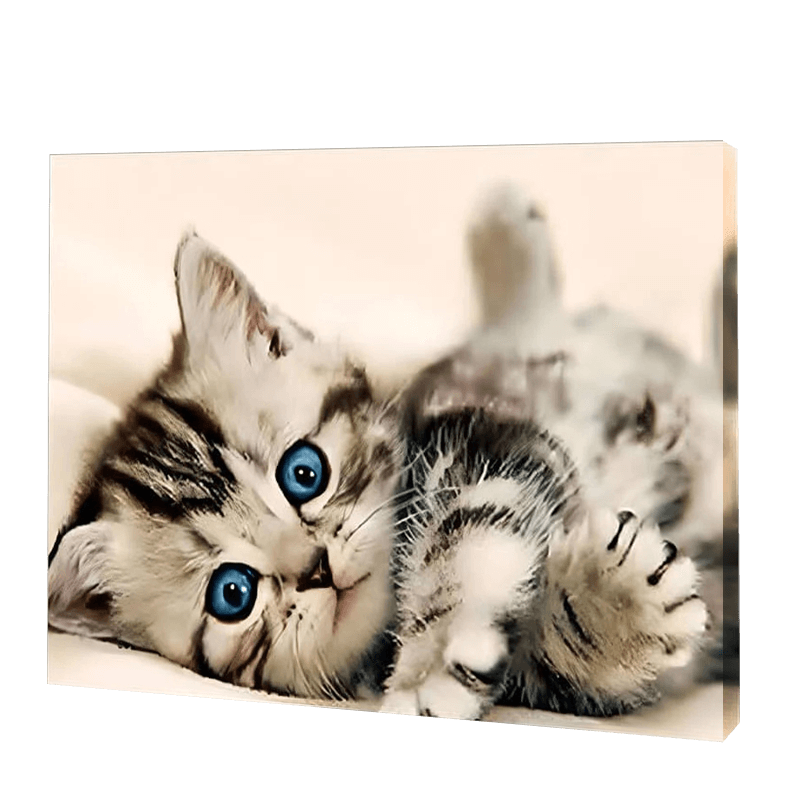 Kociak o niebieskich oczach | Haft Diamentowy