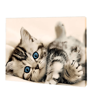 Kociak o niebieskich oczach | Haft Diamentowy