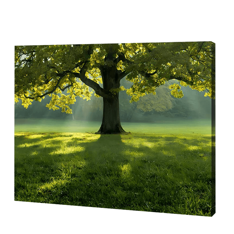 Wielkie drzewo latem  | Haft Diamentowy