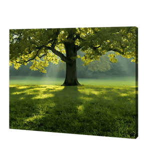 Wielkie drzewo latem  | Haft Diamentowy