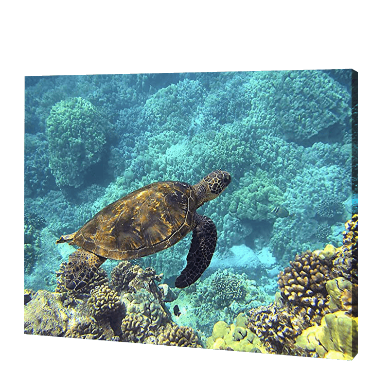 Żółw w błękitnych wodach | Haft Diamentowy