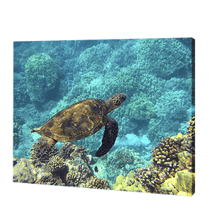 Żółw w błękitnych wodach | Haft Diamentowy