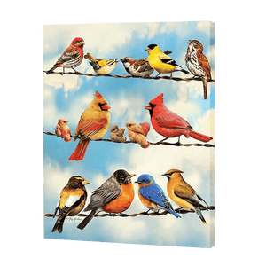 Różnorodność ptaków | Haft Diamentowy