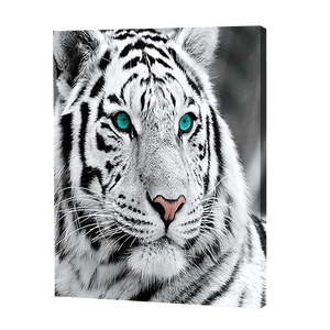 Biały tygrys | Haft Diamentowy