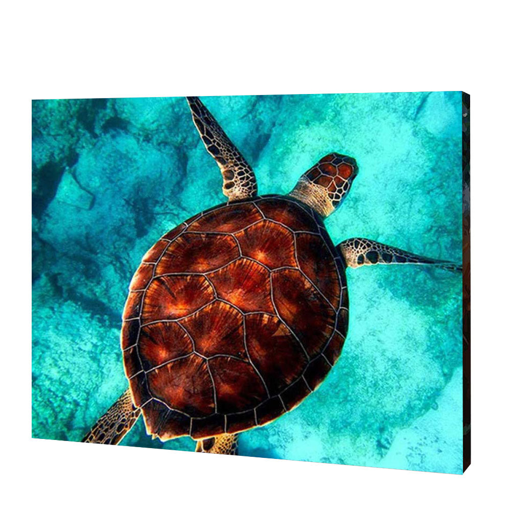 Pływanie żółwia morskiego | Haft Diamentowy